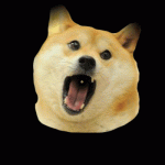Doge eat Doge 