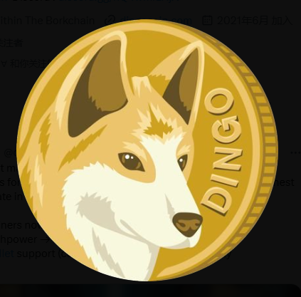 DINGO coin